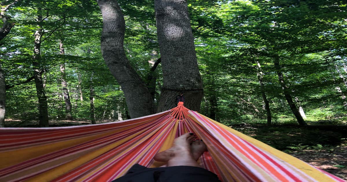 Phantom Hill Forest Farm Camping Louisa, VA