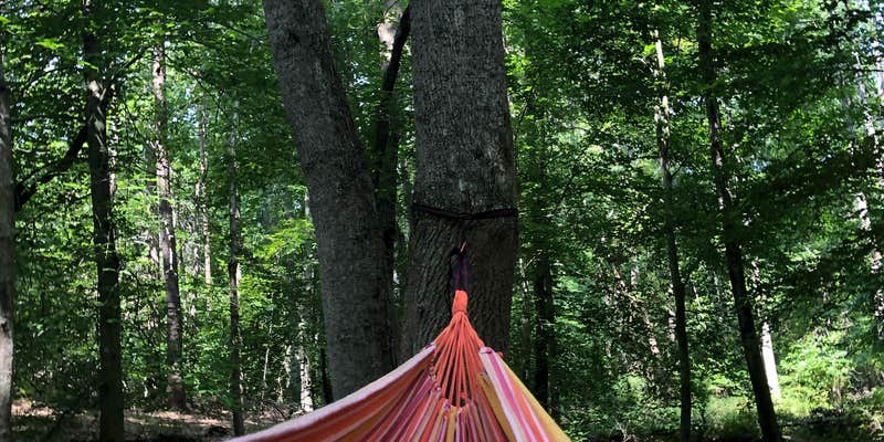 Camper submitted image from Phantom Hill Forest Farm