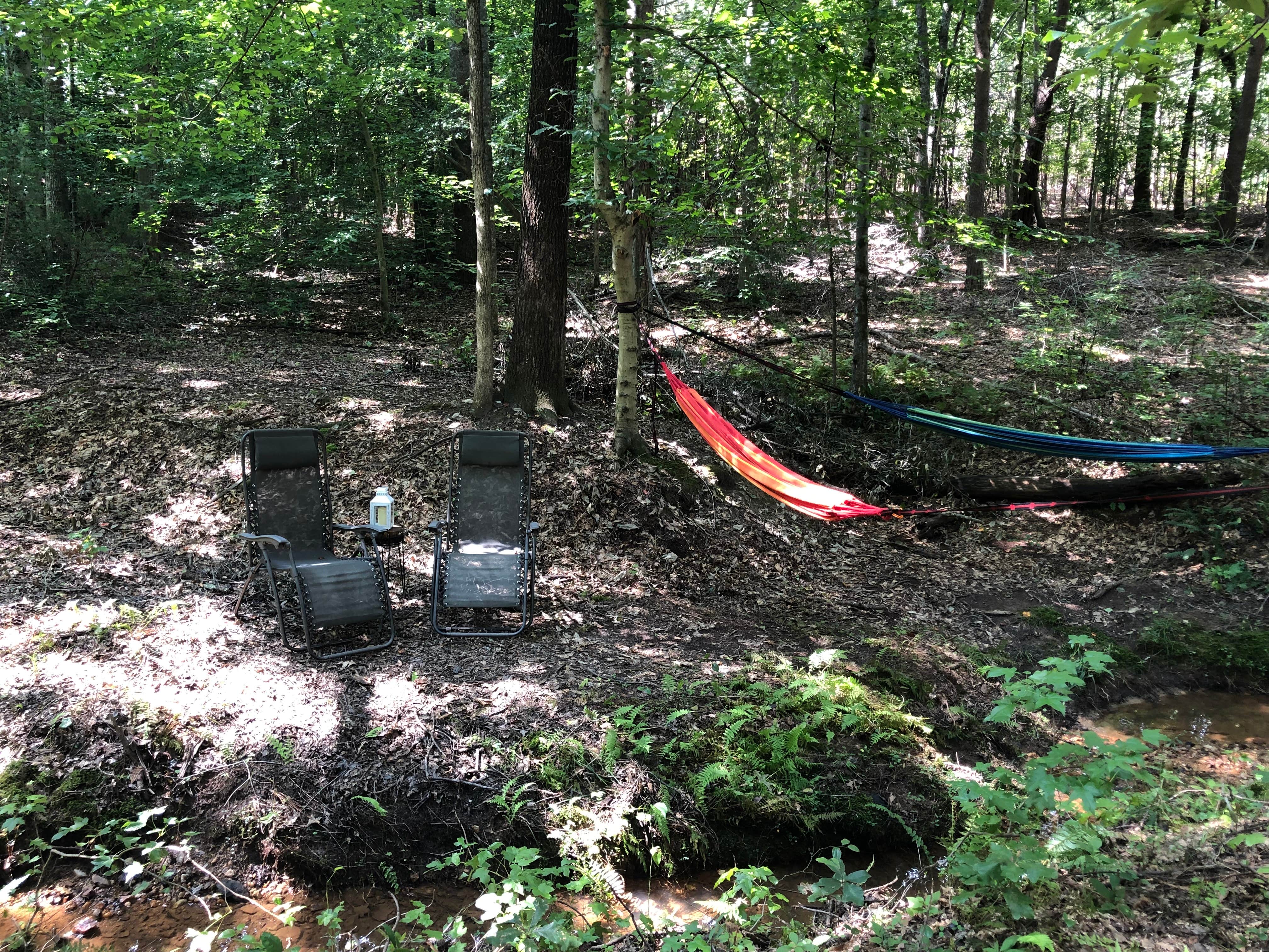 Camper-submitted photo at Phantom Hill Forest Farm near Goochland, VA