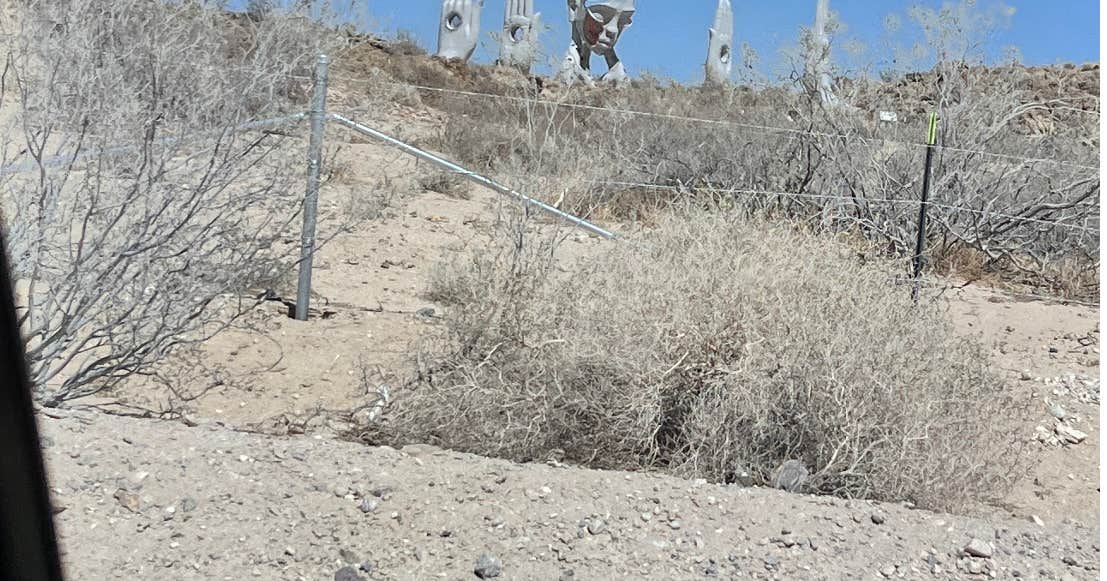 The 7th Oracle Oasis