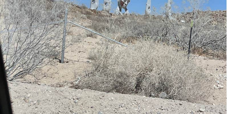 Camper submitted image from The 7th Oracle Oasis