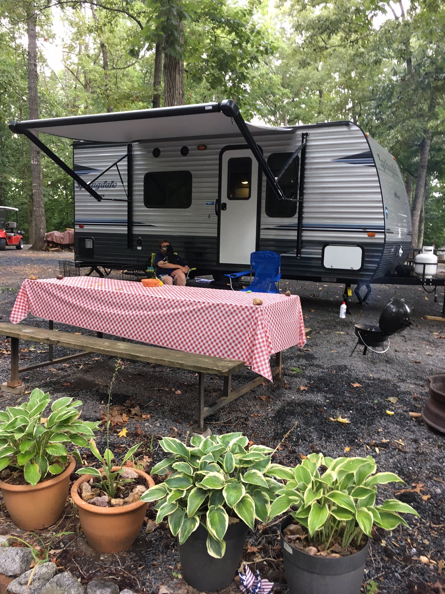 Camper submitted image from Holly Bluff Family Campground - 1