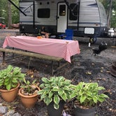 Review photo of Holly Bluff Family Campground by Herb T., October 3, 2018
