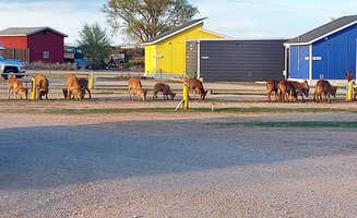 Donna's photo of camping with pets at Canyon Rim RV Park and Campground - CLOSED near Lake Meredith National Recreation Area