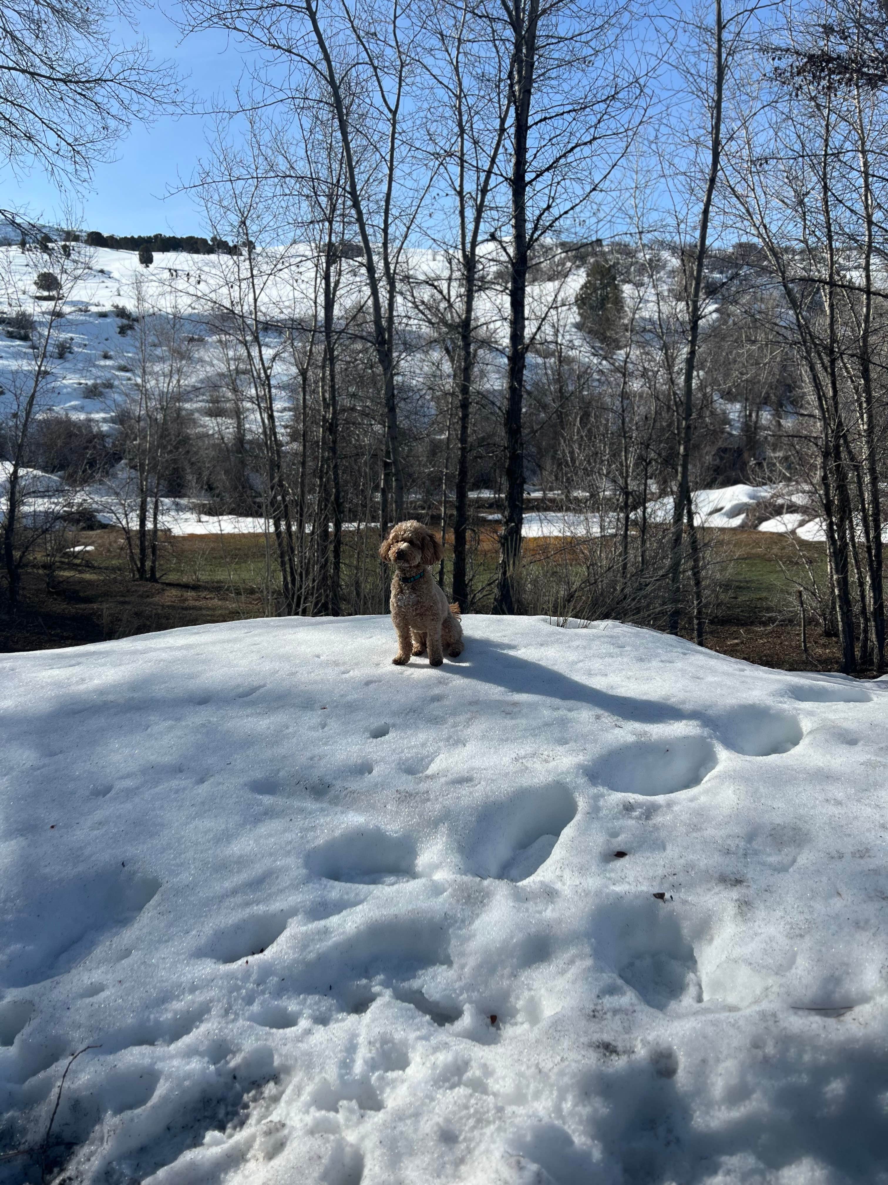 Camper-submitted photo at Diamond Fork near Fairview, UT