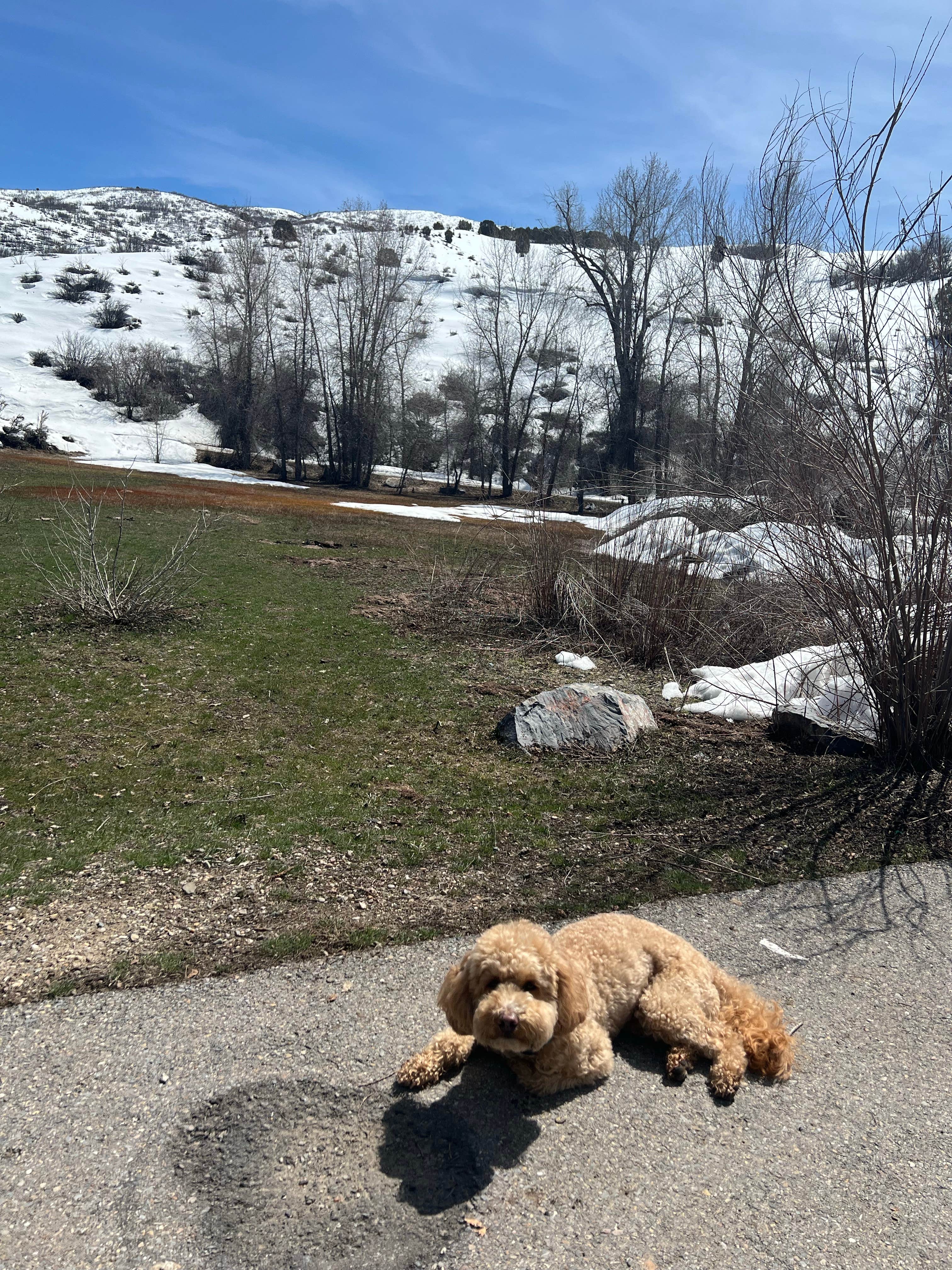 Camper-submitted photo at Diamond Fork near Fairview, UT