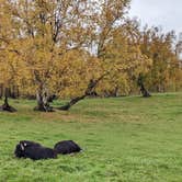 Review photo of Eklutna - Chugach State Park by Shari  G., April 10, 2023