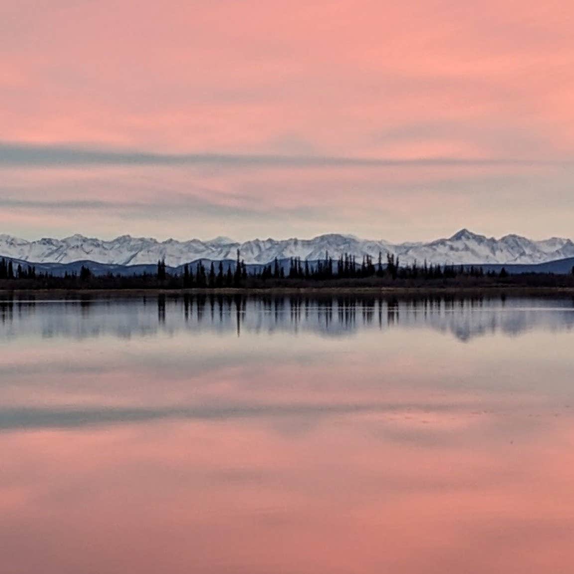 Lakeview Campground Camping The Dyrt