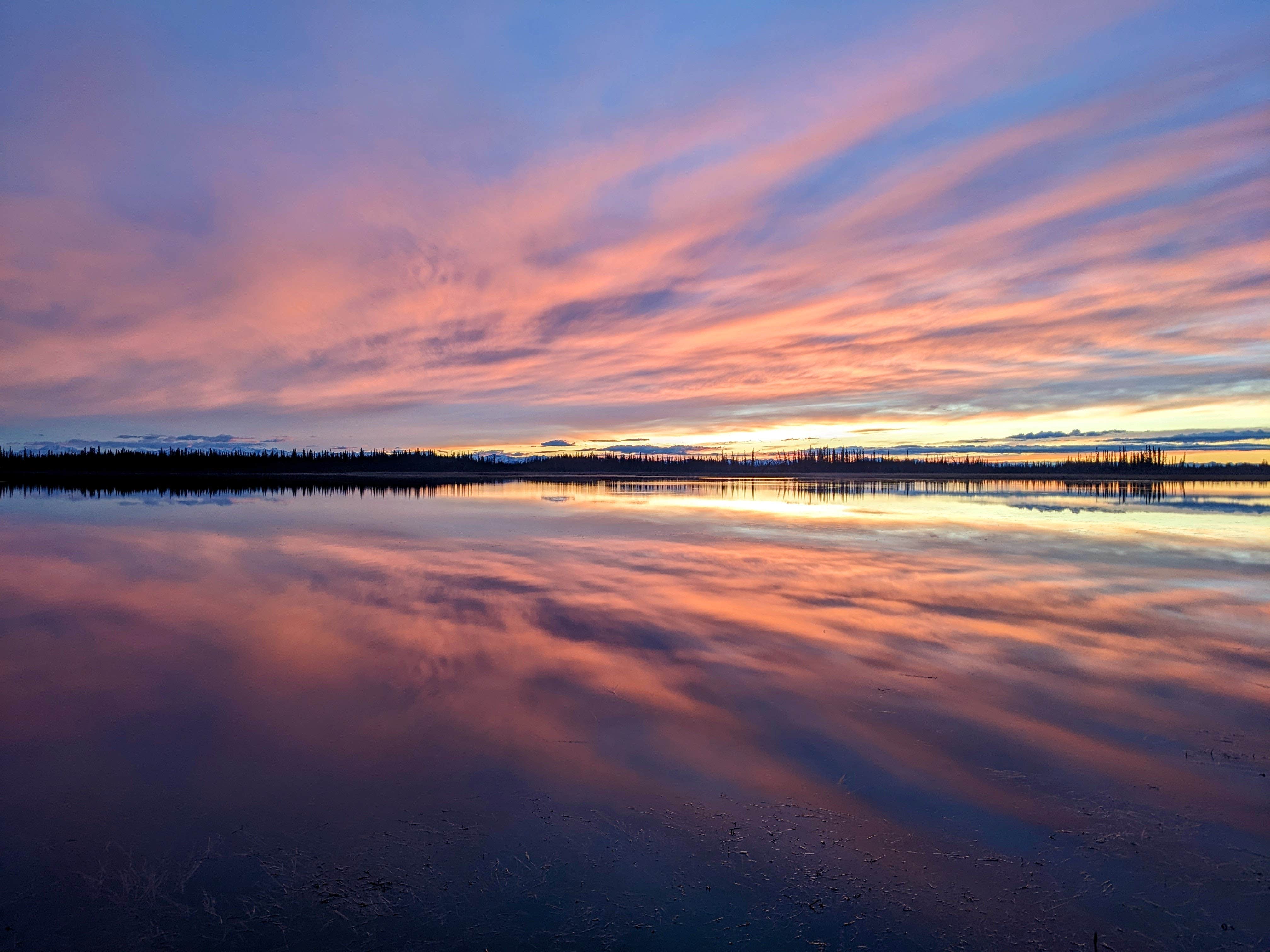 Camper submitted image from Lakeview Campground - 5
