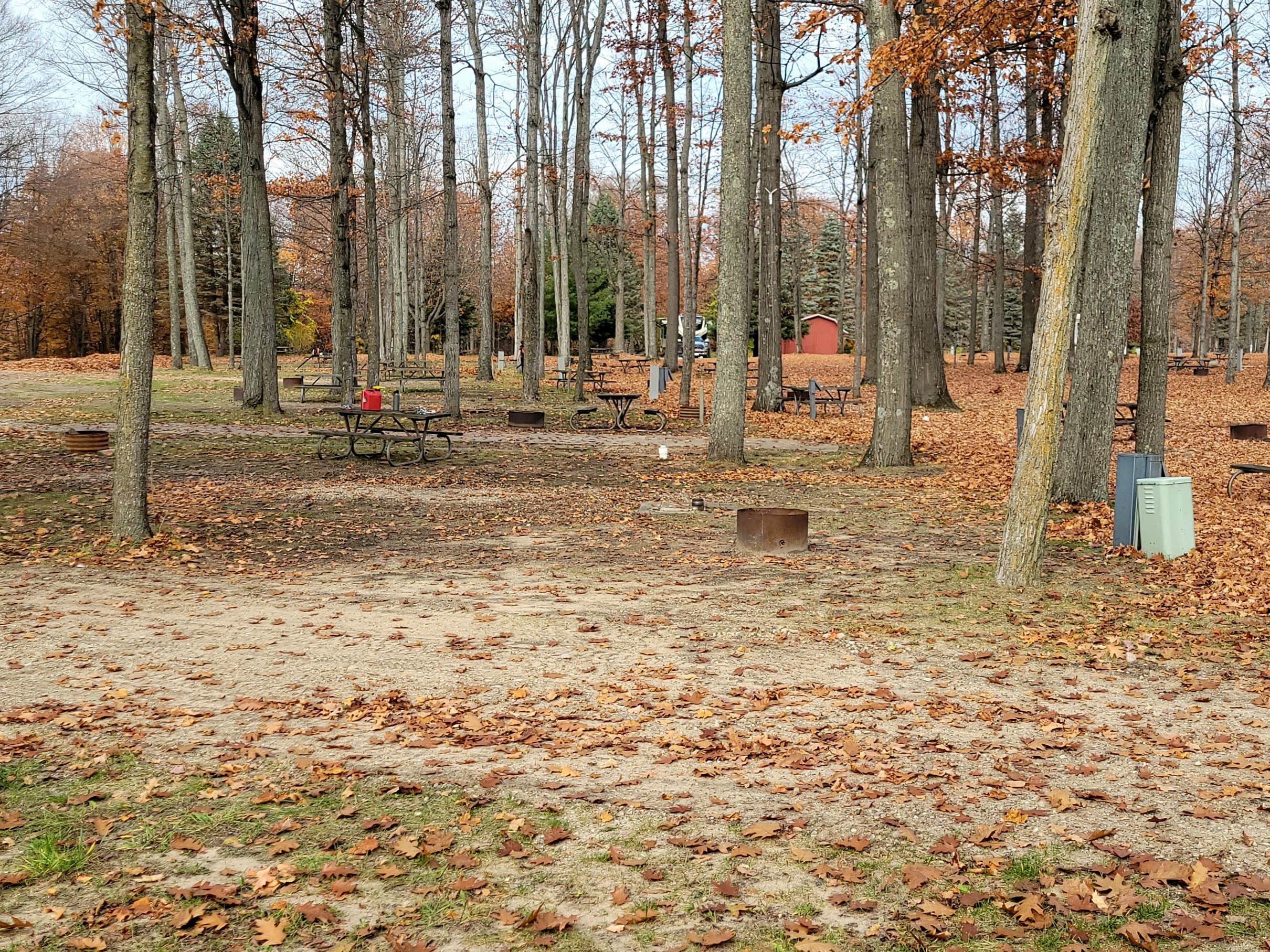 Camper-submitted photo at Chain-O-Lakes Campground near Eastport, MI