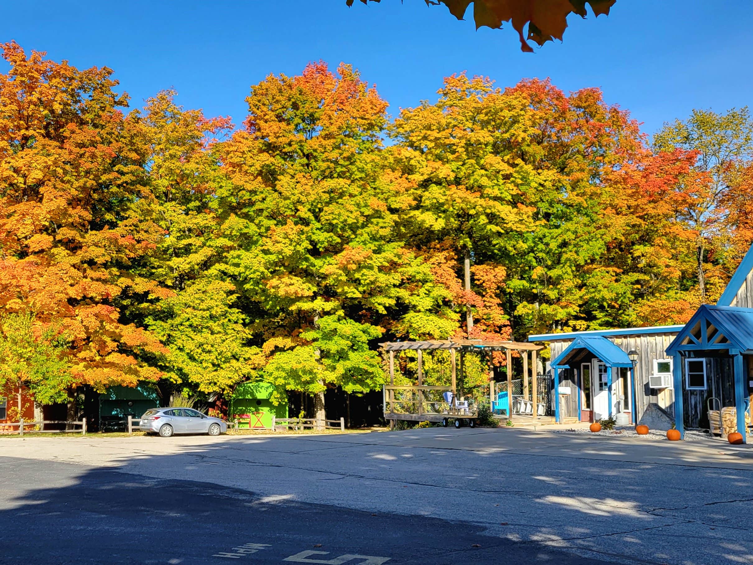 Camper-submitted photo at Chain-O-Lakes Campground near Eastport, MI