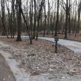 Review photo of Monte Sano State Park Campground by Roger W., March 29, 2023