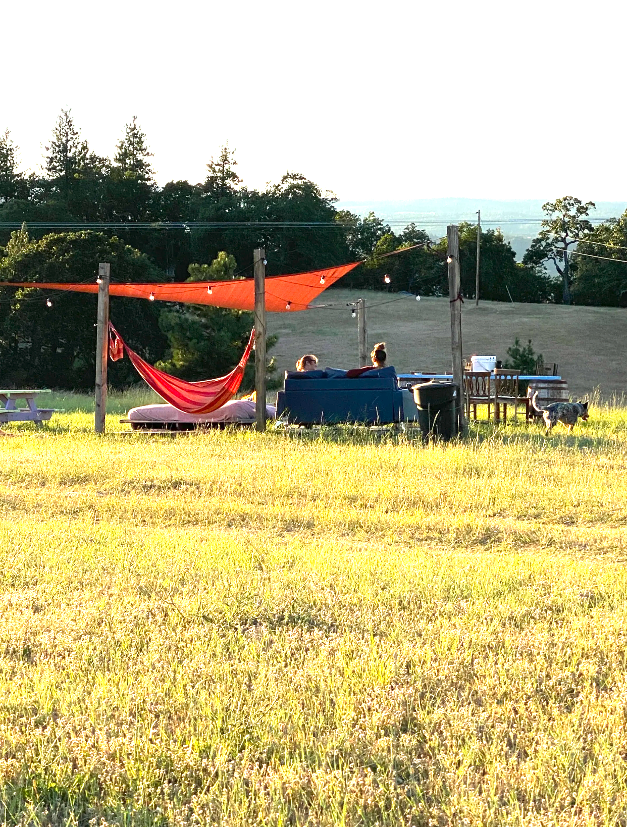 Aidan P.'s photo of camping with pets at Van Life Campground: Lyle Farmstead near John Day Lock and Dam, Lake Umatilla