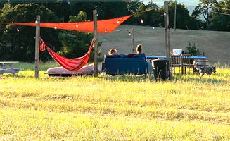 Aidan P.'s photo of camping with pets at Van Life Campground: Lyle Farmstead near The Dalles, OR