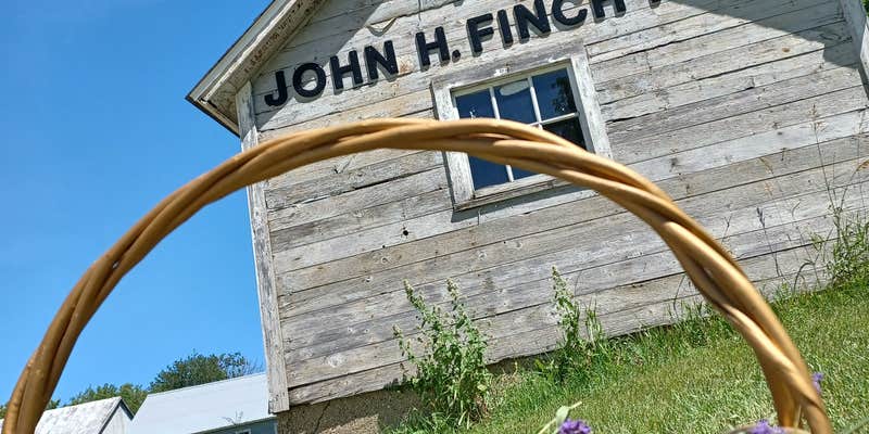 Camper submitted image from Finch Farm, Woodstock, Il.