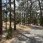 Review photo of Juniper Family Campground — Bandelier National Monument by Christian D., April 11, 2023