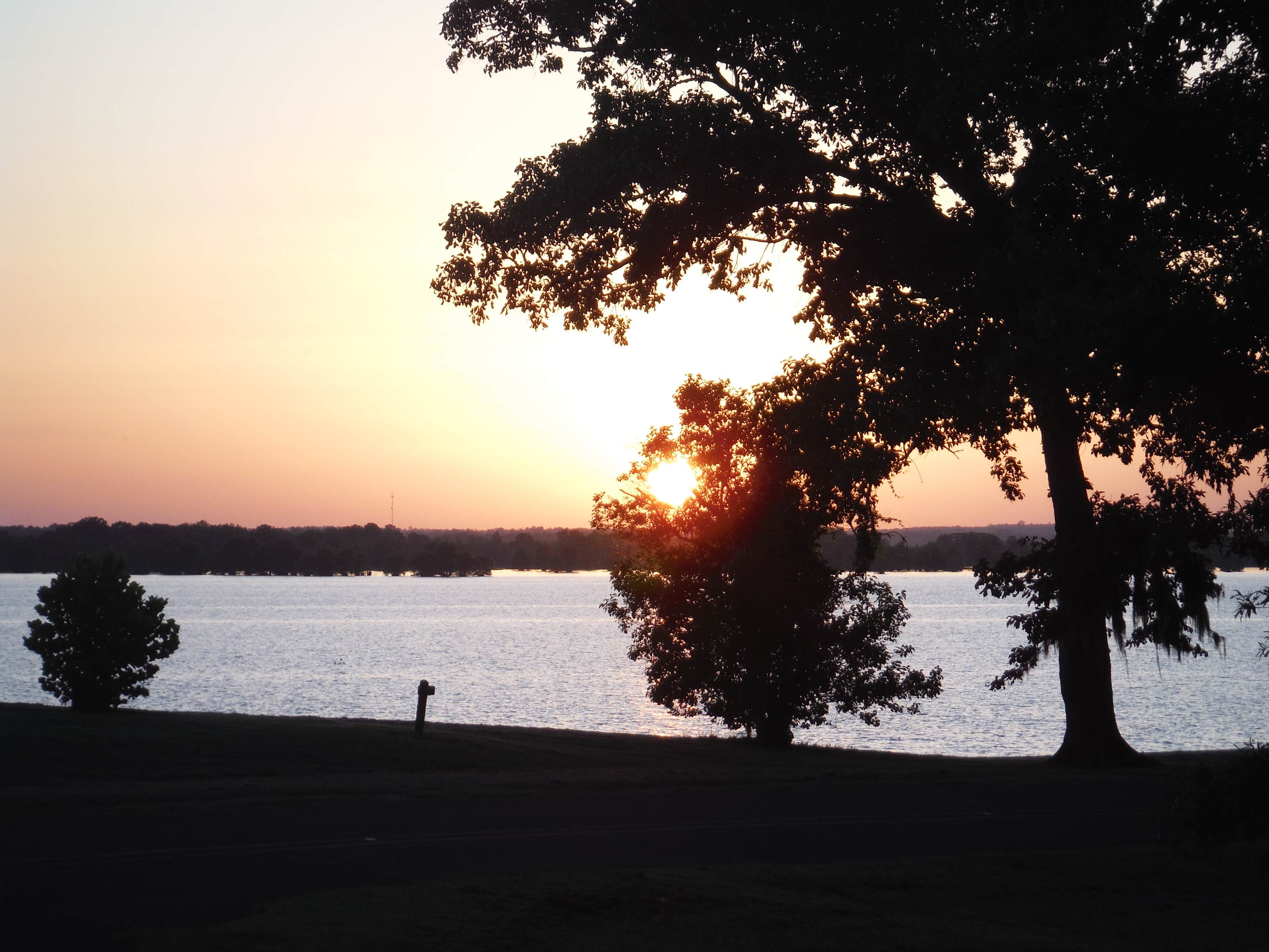 Camper submitted image from Martin Dies, Jr. State Park Campground - 2