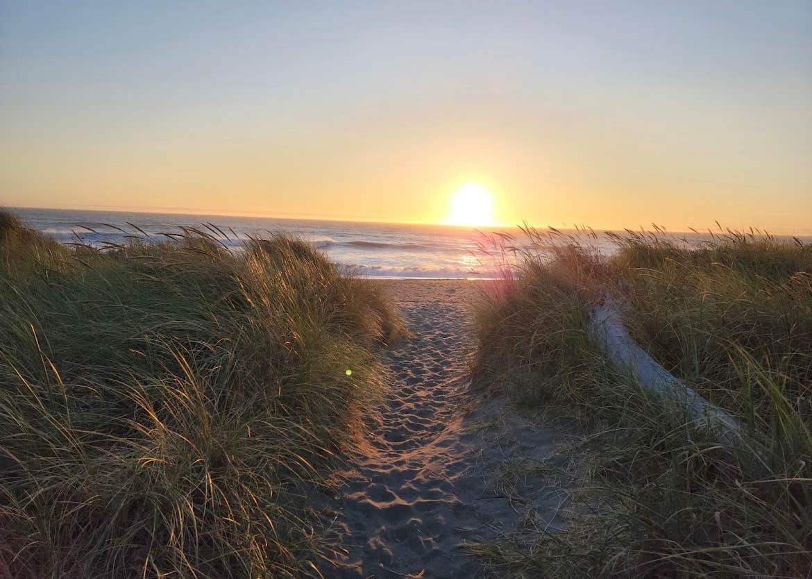 Camper-submitted photo at Ireland's Ocean RV Park near Ophir, OR