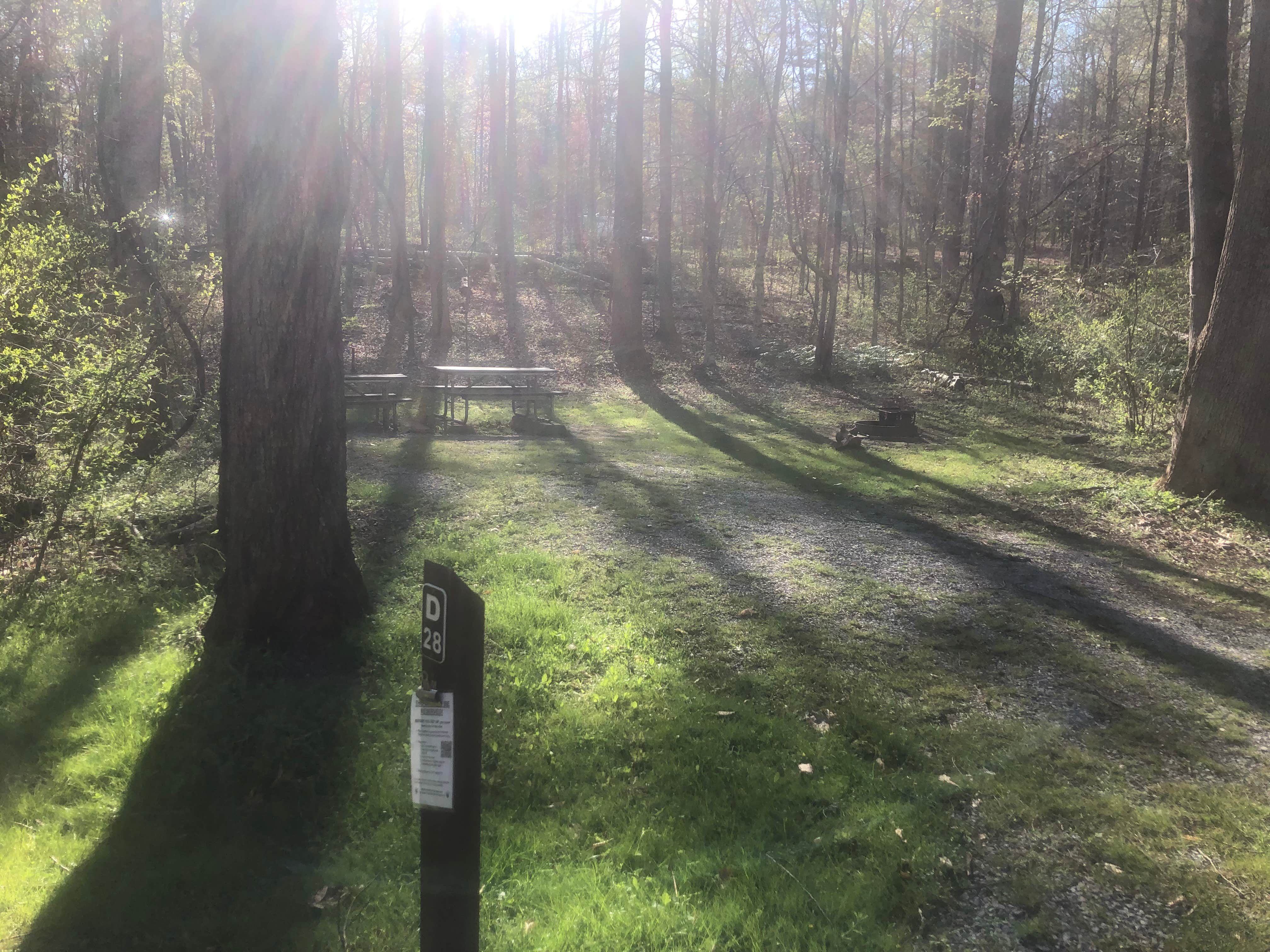 Camper submitted image from Wilderness Road Campground - 3