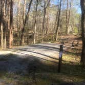 Review photo of Wilderness Road Campground by Roger W., April 11, 2023