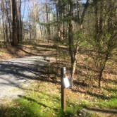 Review photo of Wilderness Road Campground by Roger W., April 11, 2023