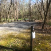 Review photo of Wilderness Road State Park Campground by Roger W., April 11, 2023