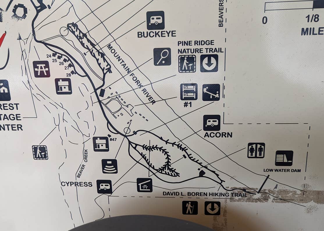 Cypress Campground at Beavers Bend Camping The Dyrt