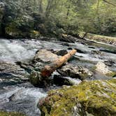 Review photo of Elkmont Campground — Great Smoky Mountains National Park by jacob S., April 11, 2023