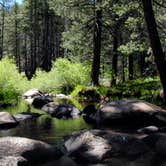 Review photo of Troy Meadow Campground by Warren K., August 15, 2016