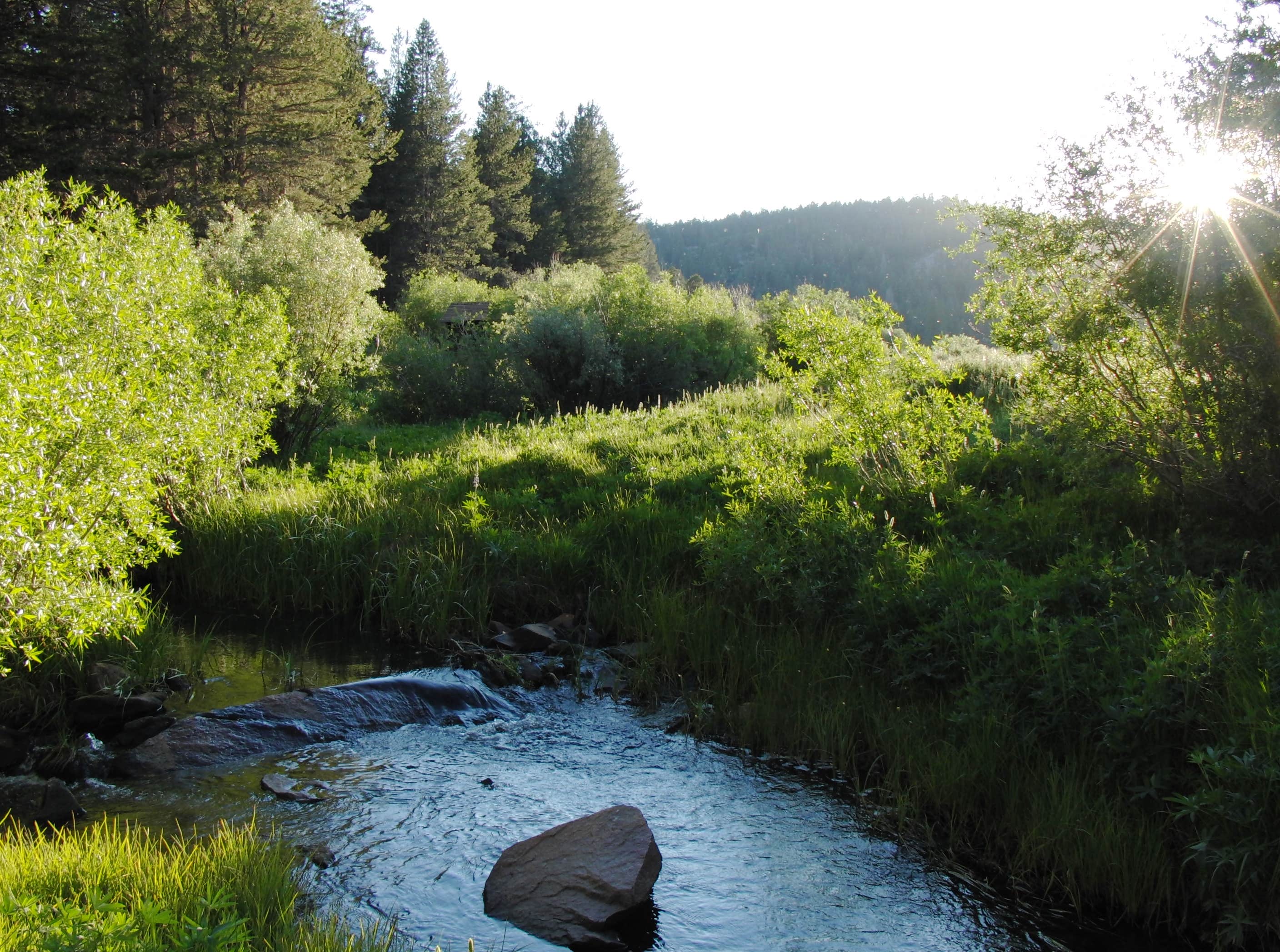 Camper submitted image from Troy Meadow Campground - 1