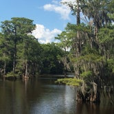 Review photo of Caddo Lake State Park Campground by Matt F., August 15, 2016