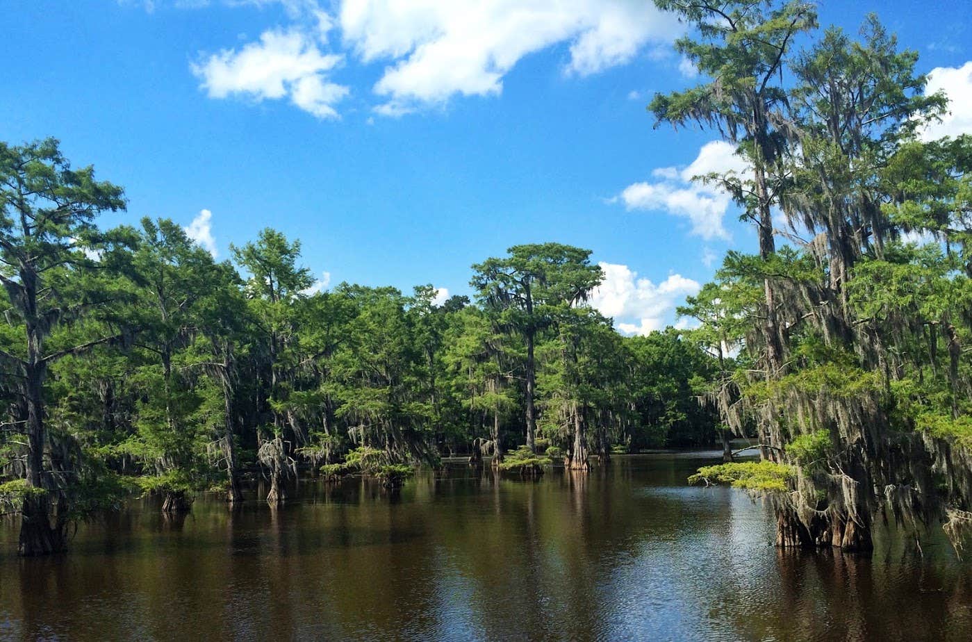 Camper submitted image from Caddo Lake State Park Campground - 2