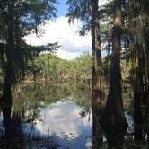 Review photo of Caddo Lake State Park Campground by Matt F., August 15, 2016