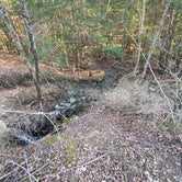 Review photo of East Otto State Forest by Courtney C., April 12, 2023