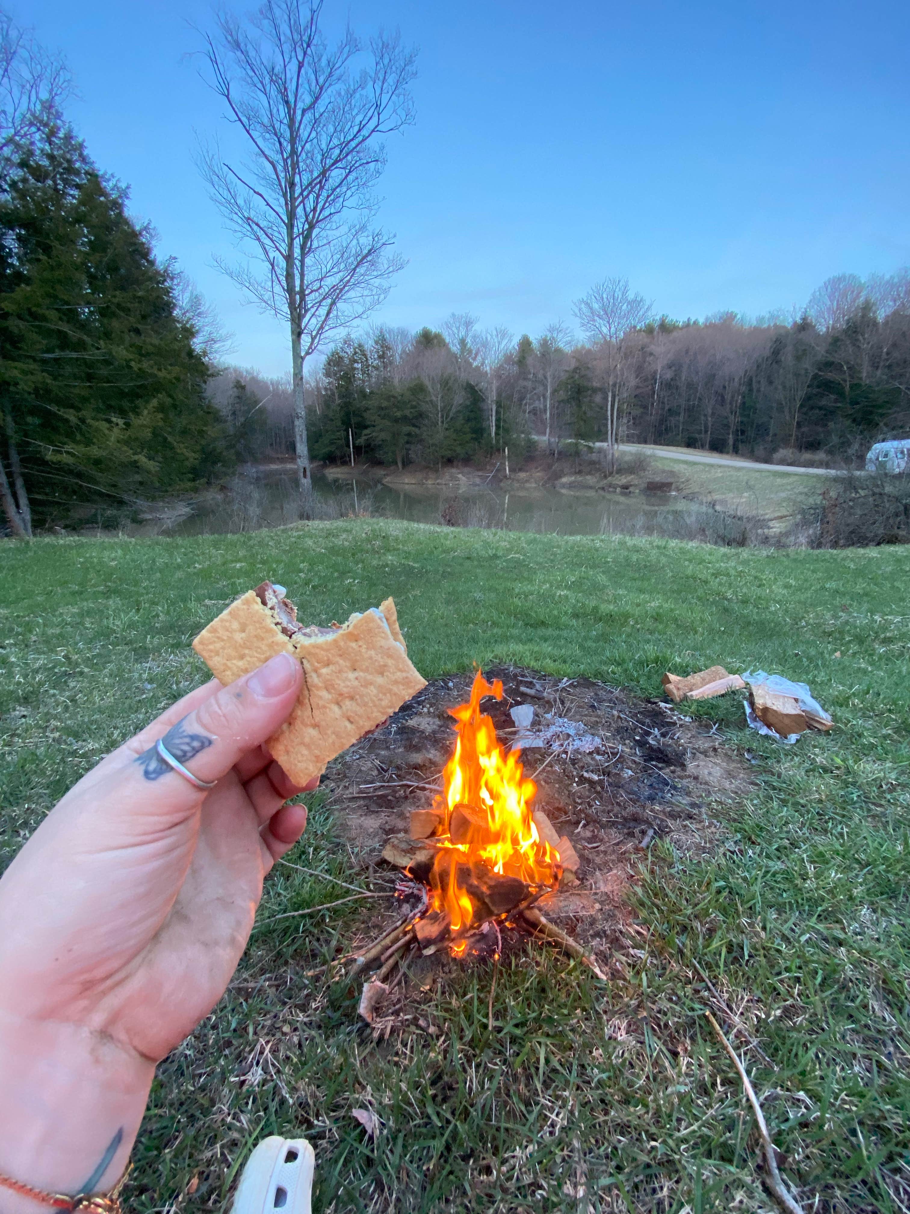 Camper-submitted photo at East Otto State Forest near Cassadaga, NY