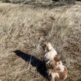 Review photo of Walnut Canyon Rd Dispersed Camping - CLOSED UNTIL 2025 by Sierra N., April 12, 2023