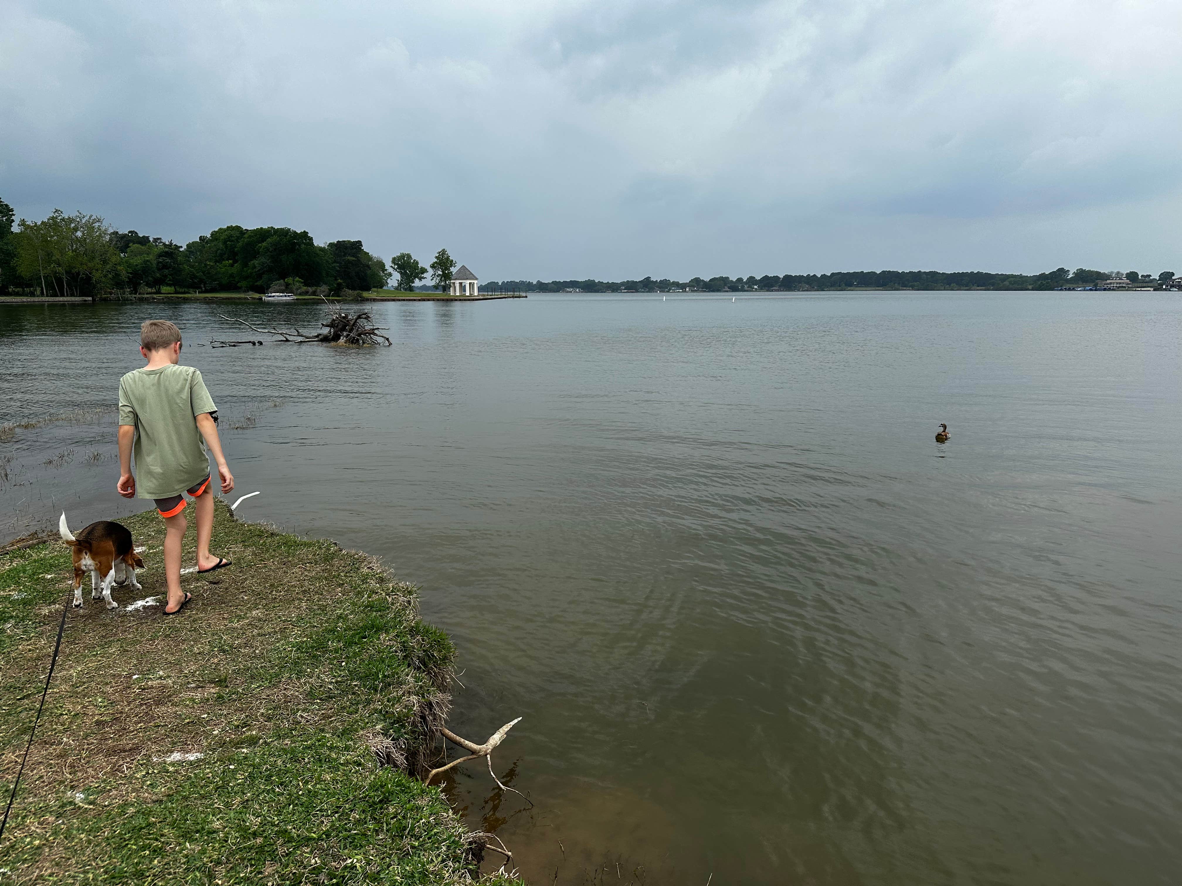 Rachel P.'s photo of camping with pets at Thousand Trails Lake Conroe near Sam Houston National Forest