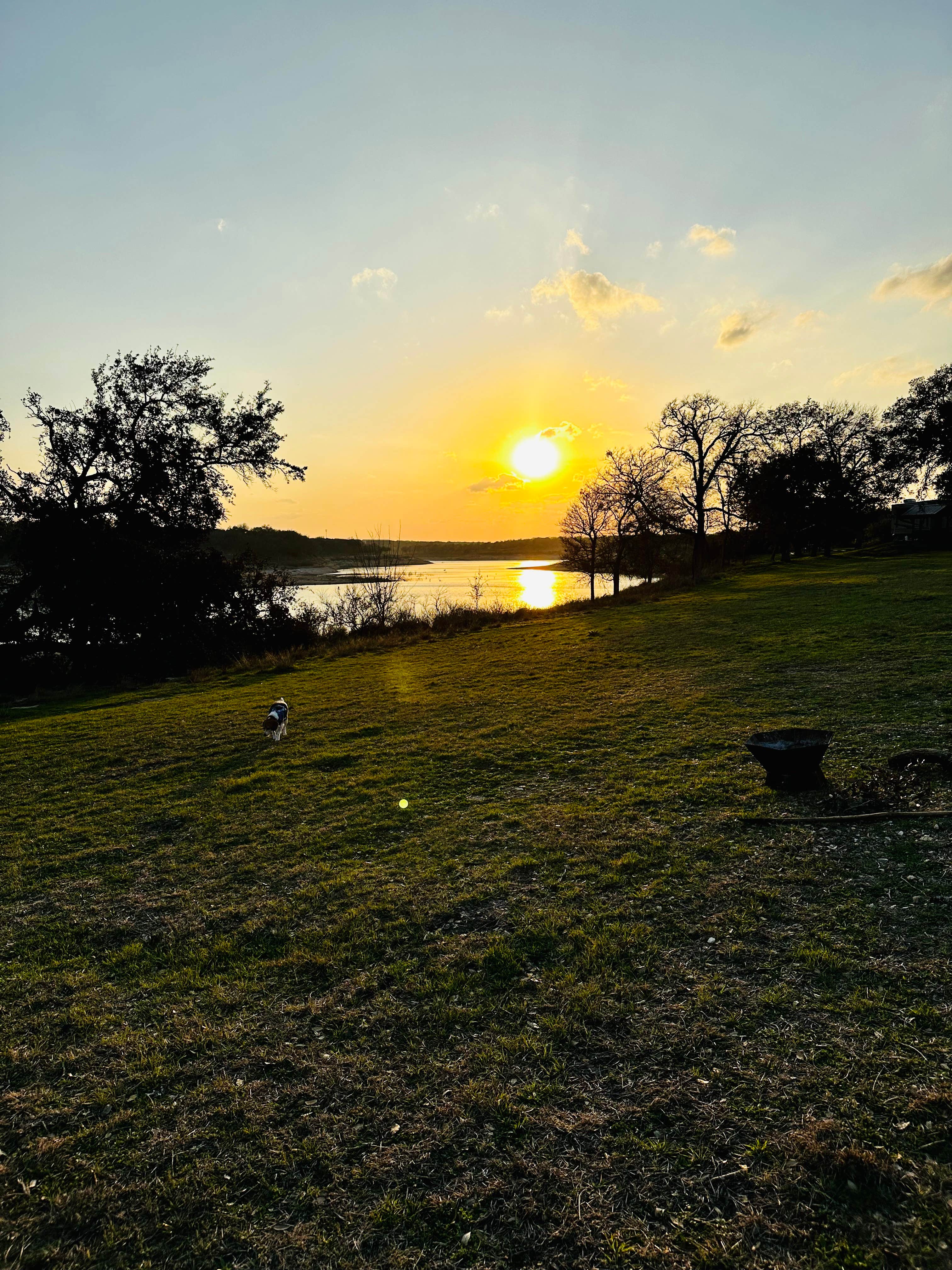 Rachel P.'s photo of camping with pets at Cedar Ridge (TX) near Copperas Cove, TX