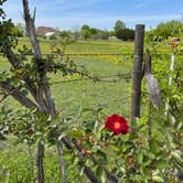 Review photo of Salado Sky RV Park by Meldyn B., April 12, 2023