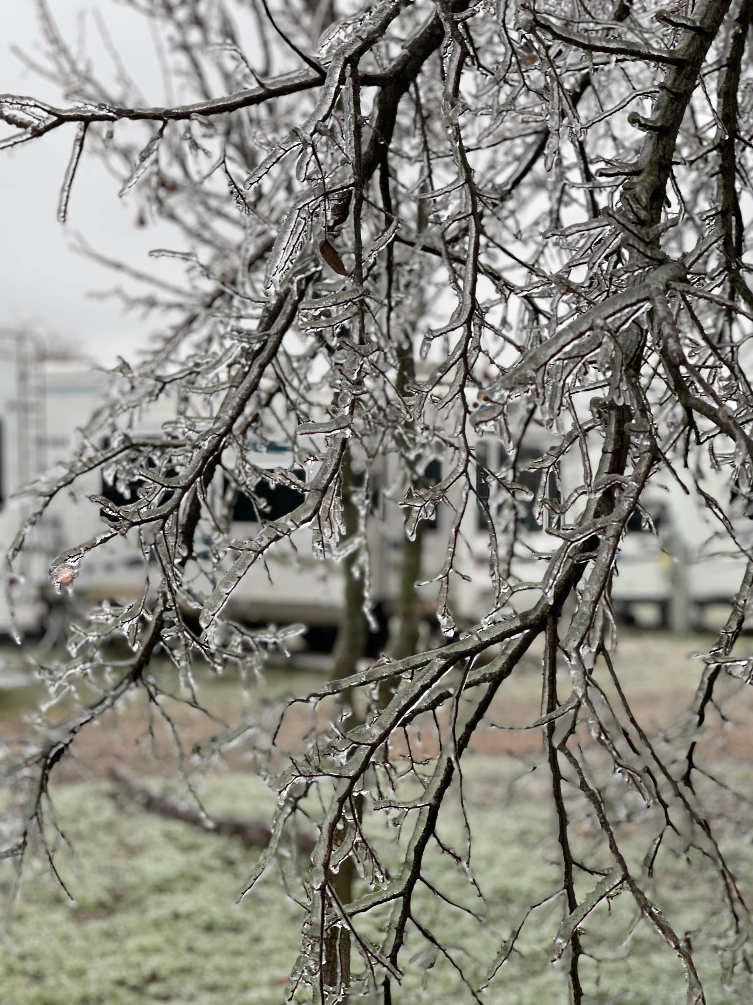 Camper-submitted photo at Salado Sky RV Park near Belton, TX