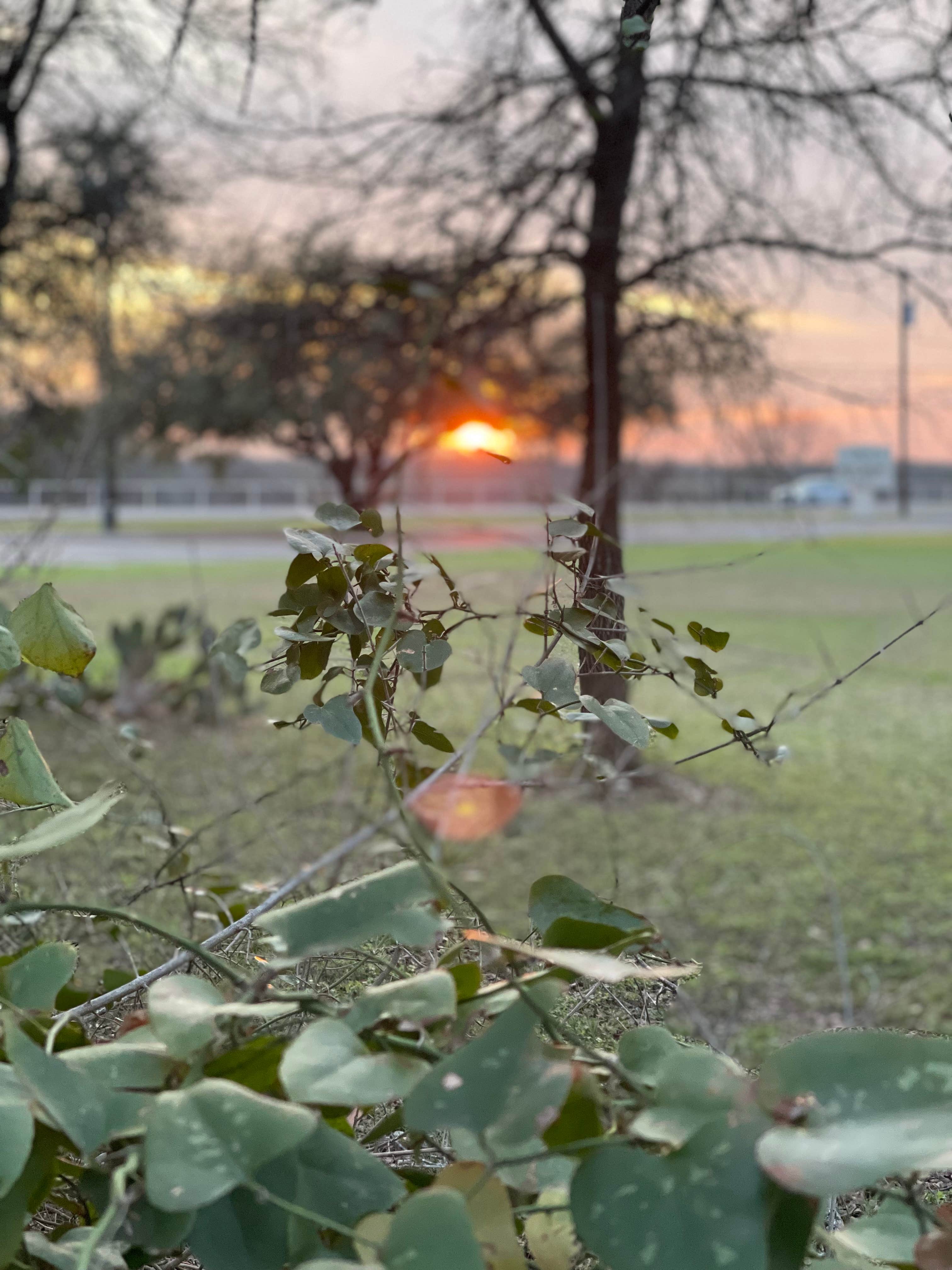 Camper-submitted photo at Salado Sky RV Park near Belton, TX