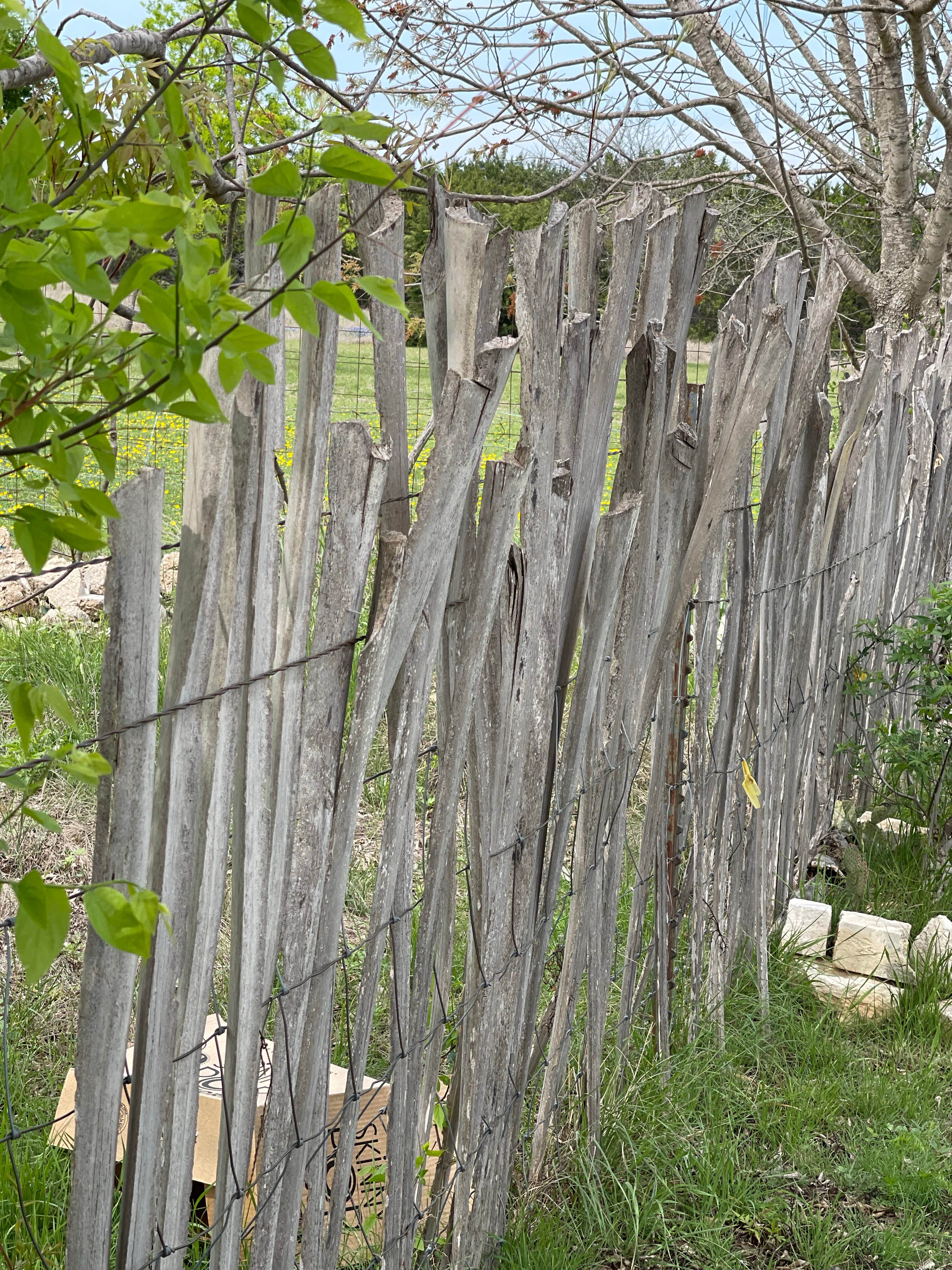 Camper-submitted photo at Salado Sky RV Park near Belton, TX