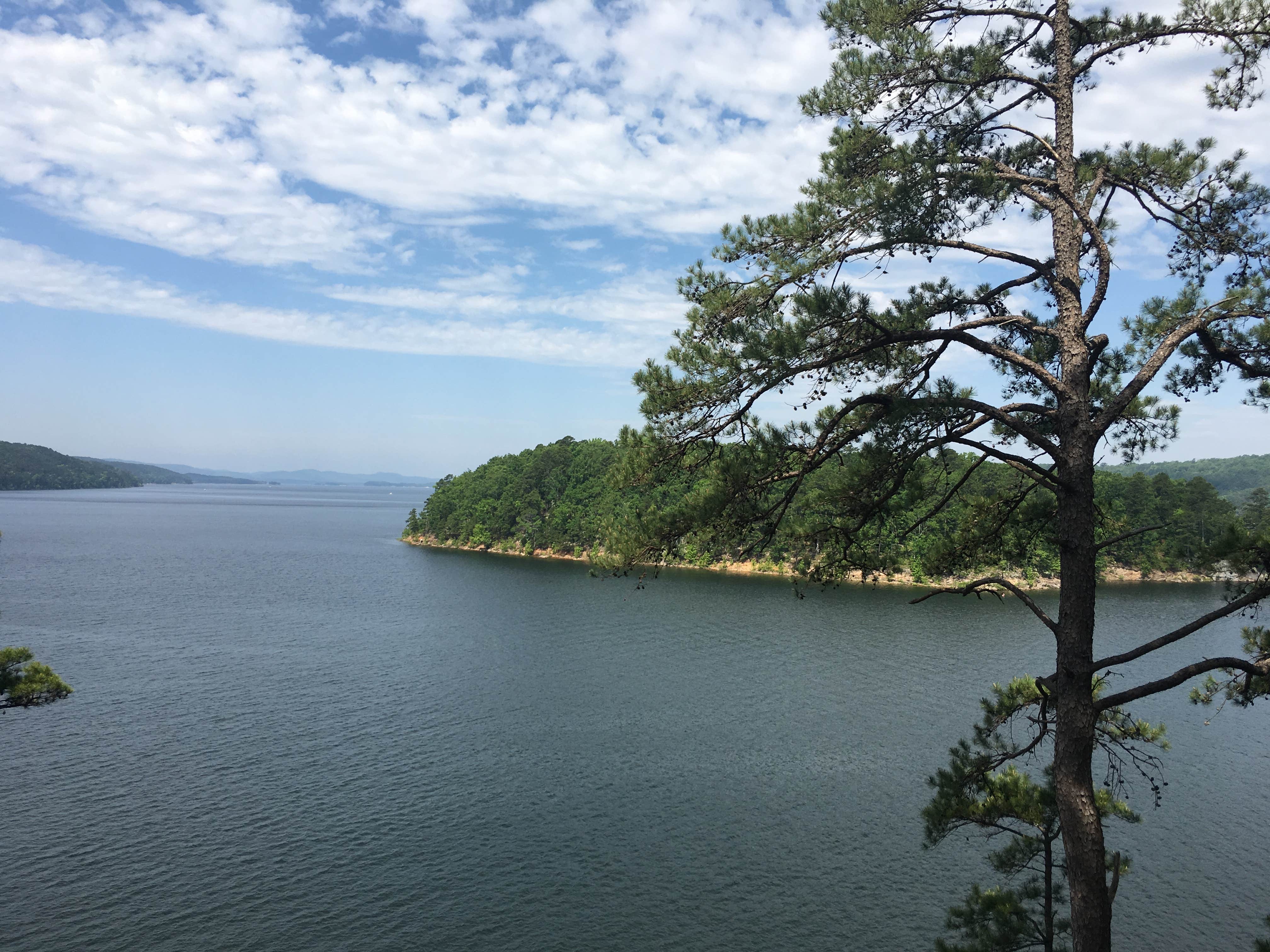 Camper-submitted photo at Washita Primitive Camping Area near Oden, AR