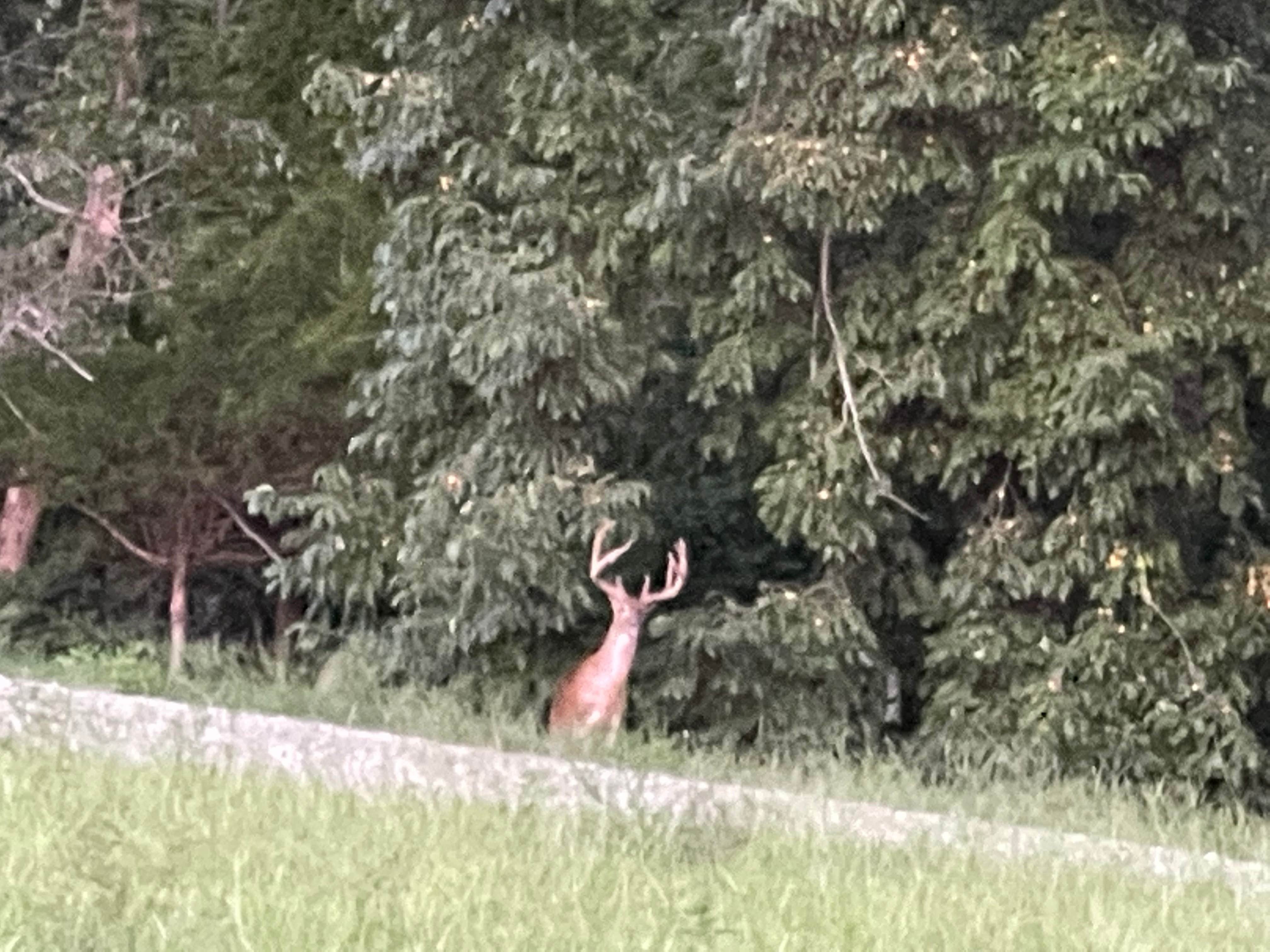 Camper-submitted photo at Ivory Clay Farm near Welcome, NC