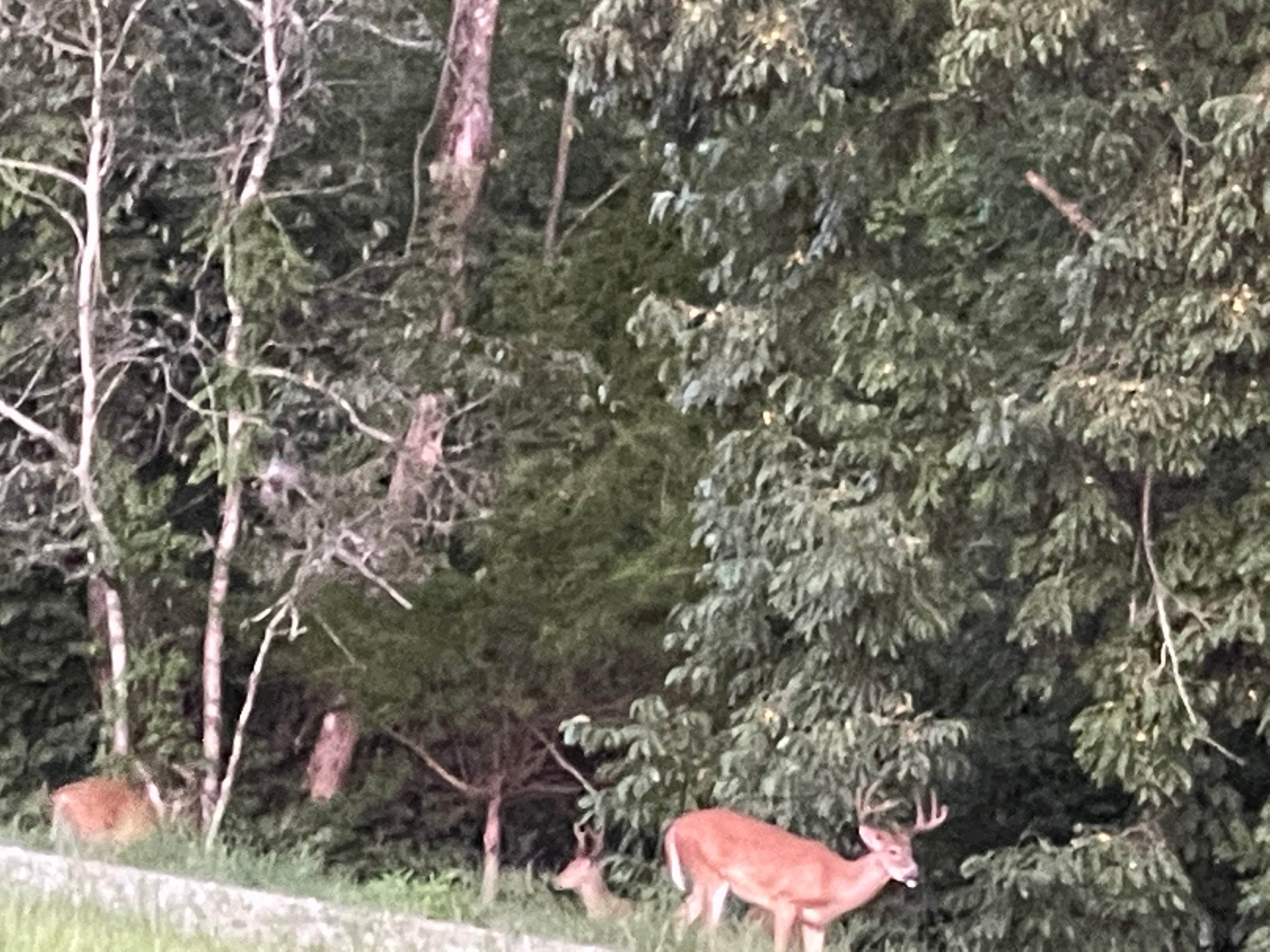 Camper-submitted photo at Ivory Clay Farm near Welcome, NC