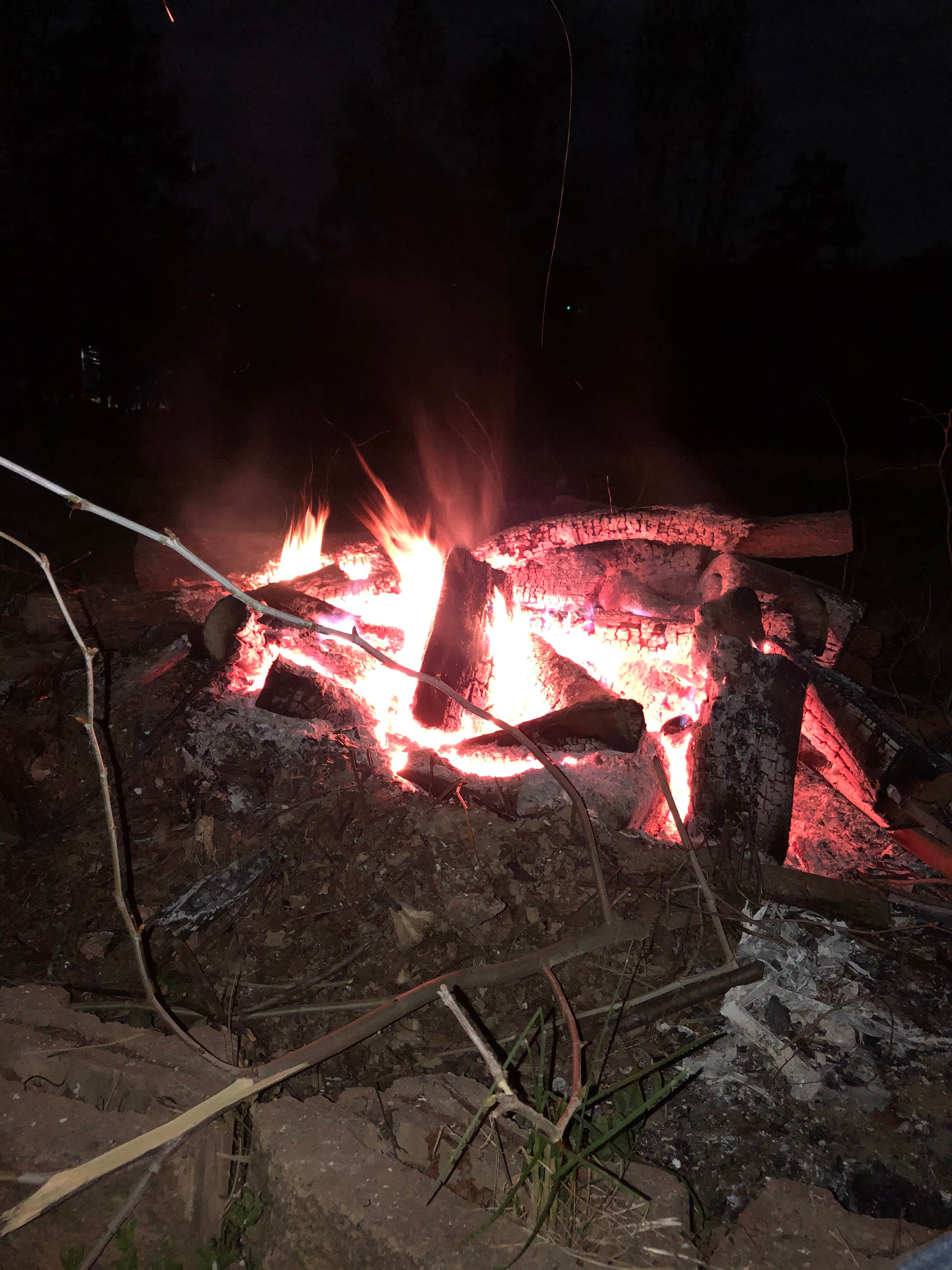 Camper-submitted photo at Ivory Clay Farm near Welcome, NC