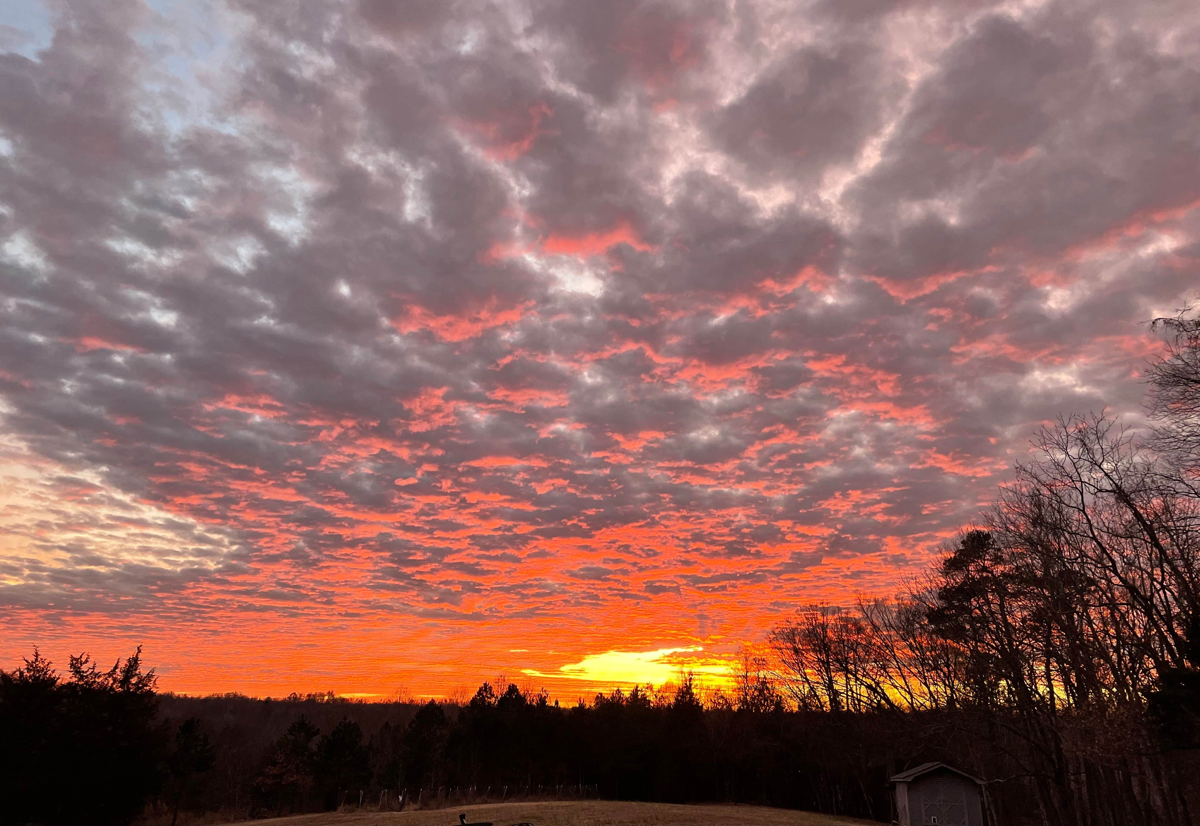 Camper-submitted photo at Ivory Clay Farm near Welcome, NC