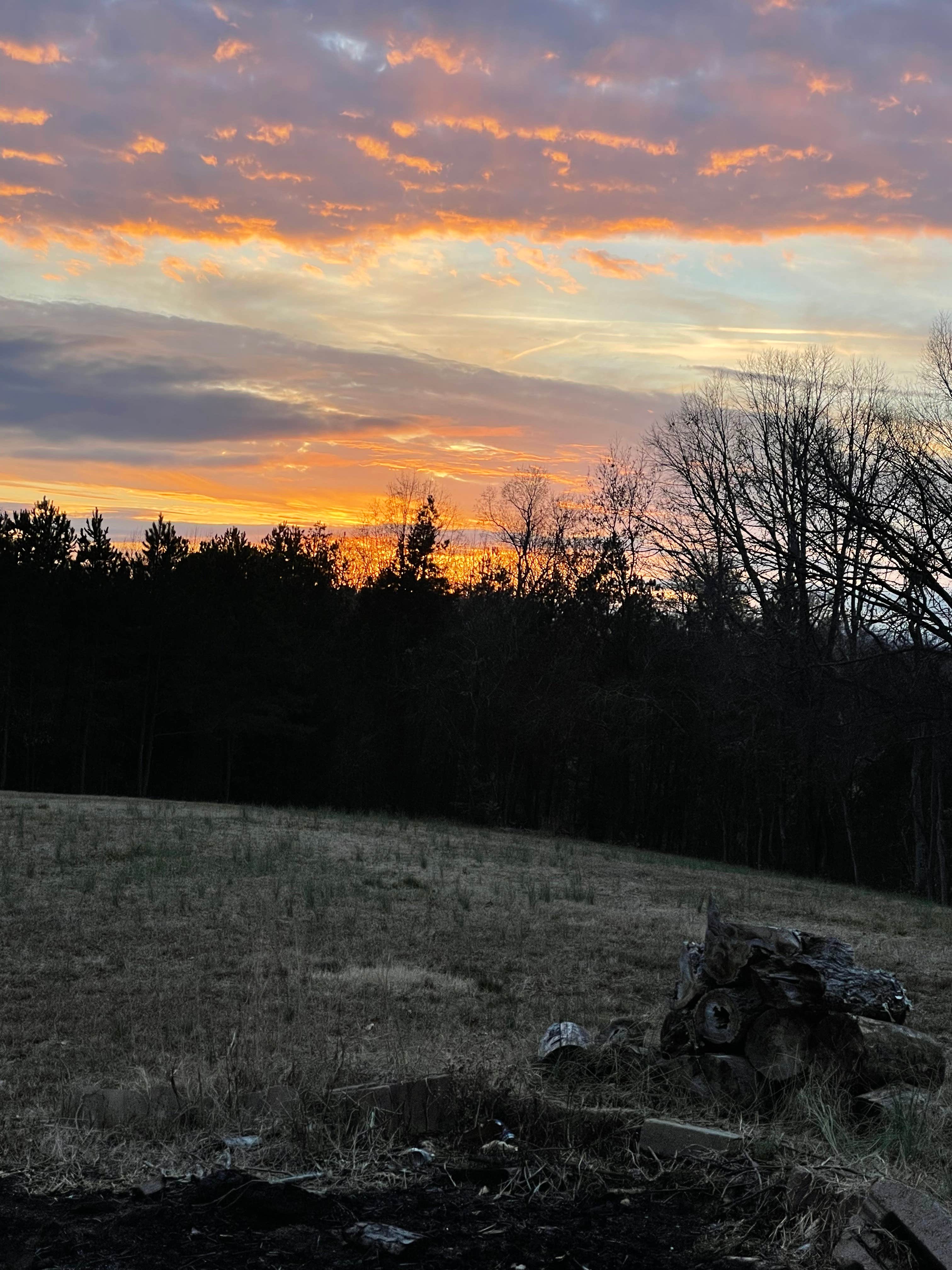 Camping near Tanglewood Park: Ivory Clay Farm, Trinity, North Carolina