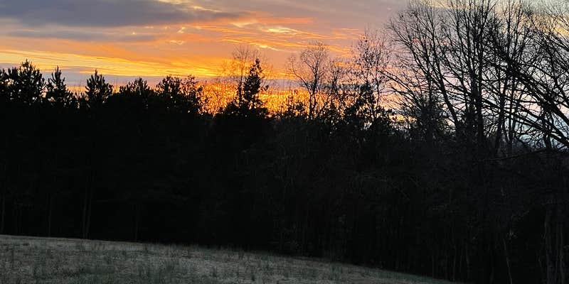 Camper submitted image from Ivory Clay Farm