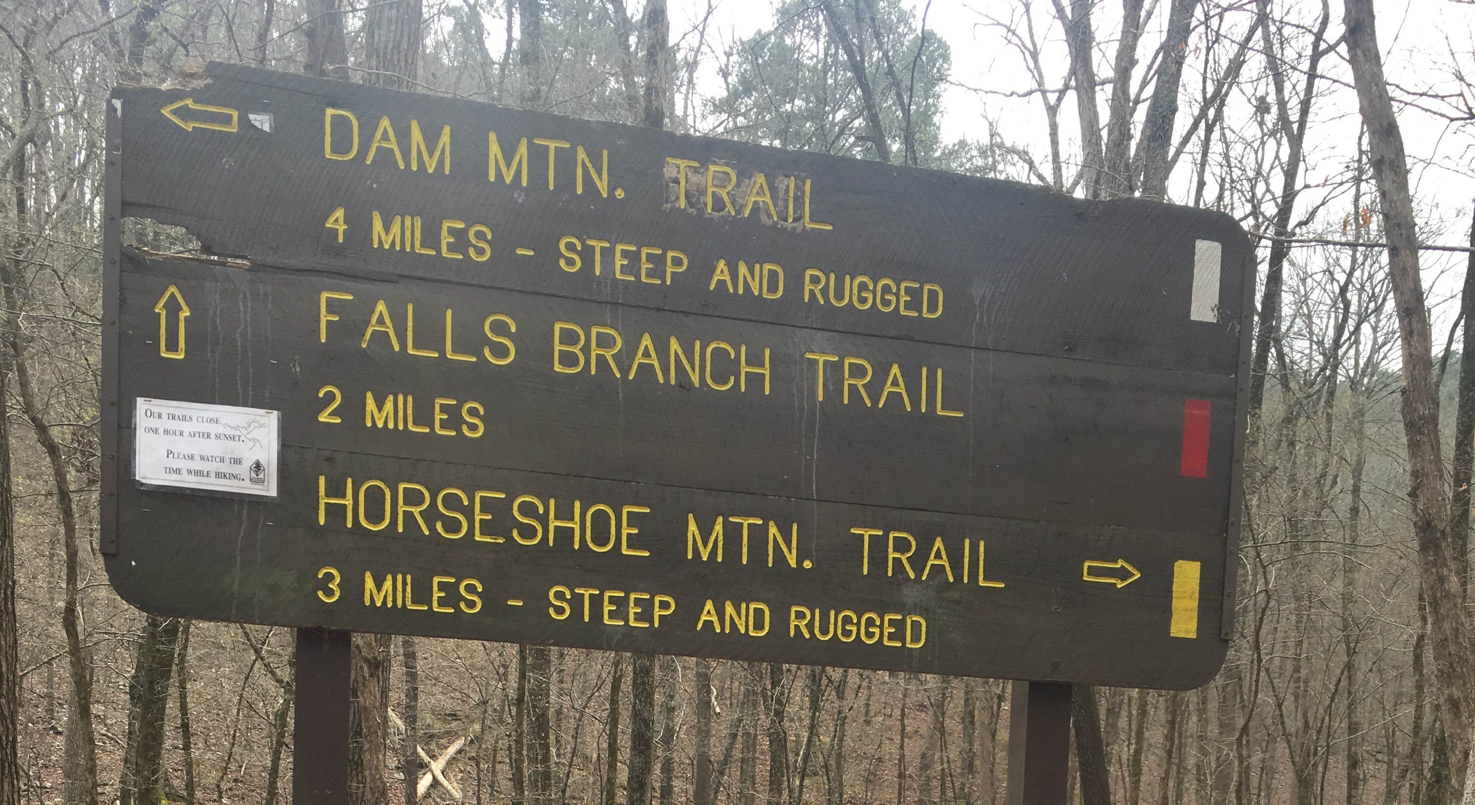 Camper submitted image from Lake Catherine State Park Campground - 5